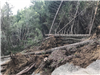 Tree debris covering Panther Gap Road