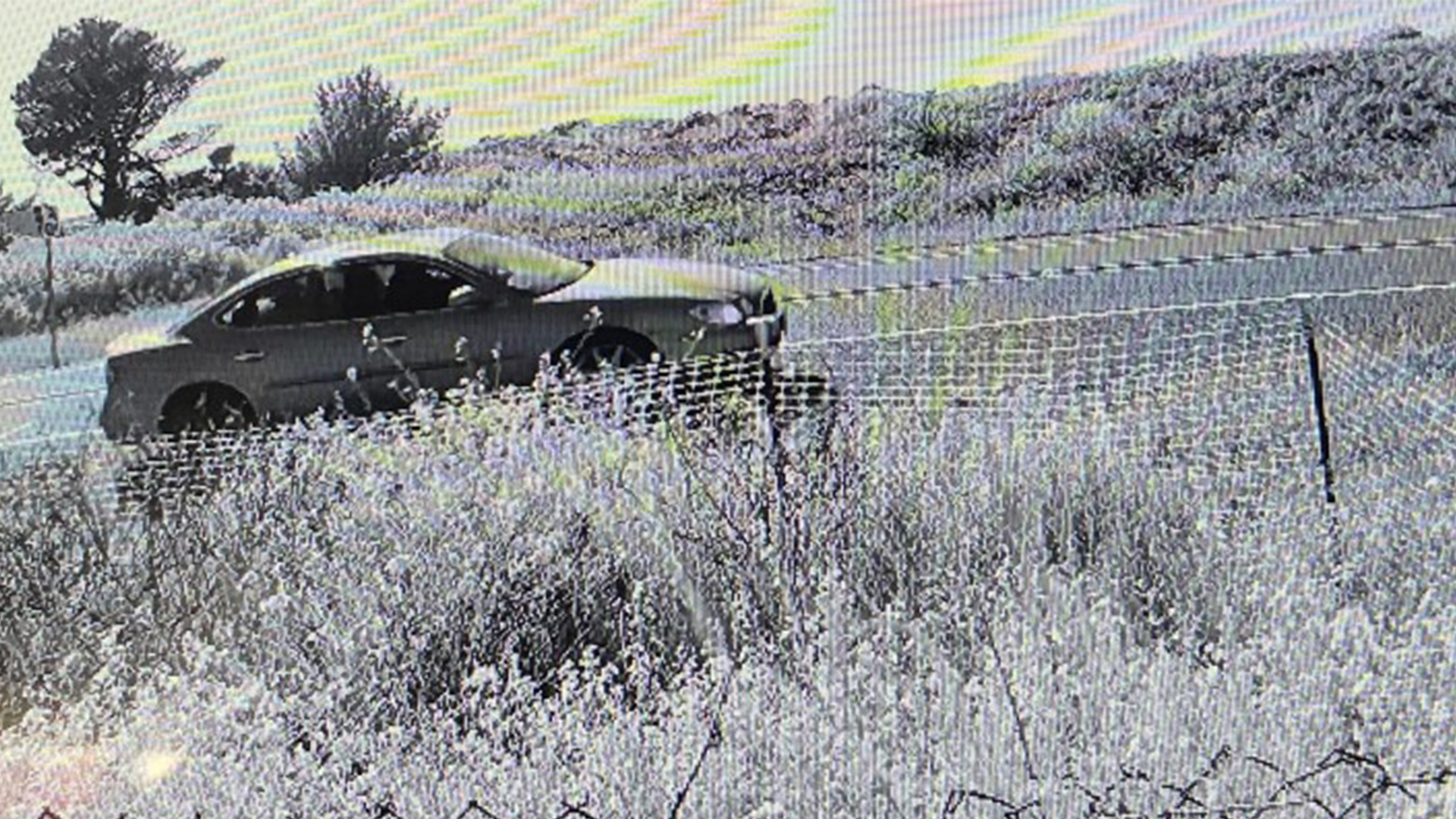 Vehicle suspected of starting an arson fire