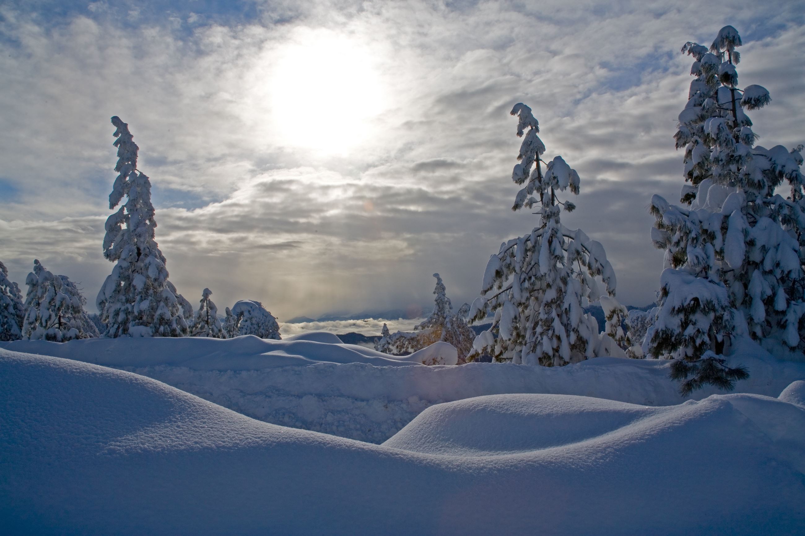 A snow day on Horse Mountain, photo by Matt Filar,
