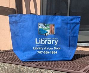 Library at Your Door tote bag