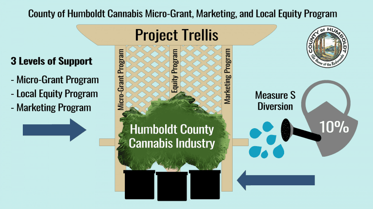 Graphic for Project Trellis showing illustration of its three programs