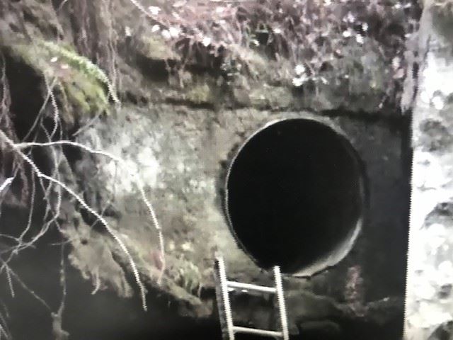 Briceland Thorne  from Video9 11_08_19