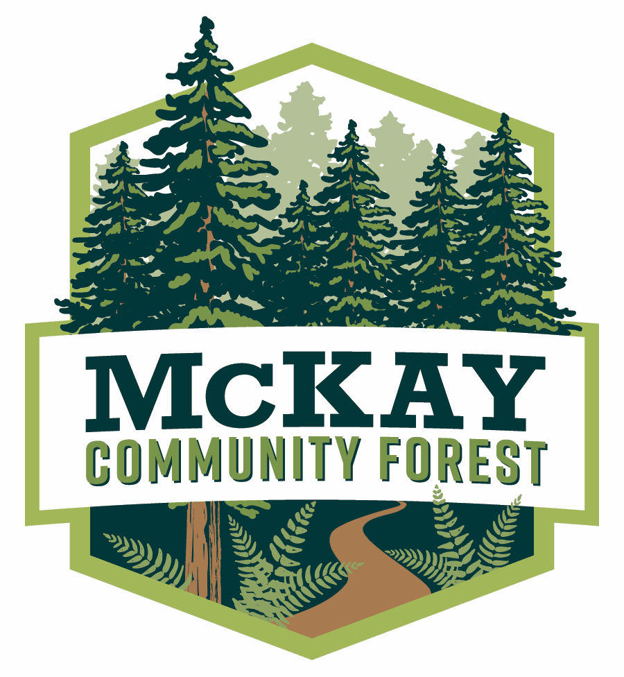McKay Logo