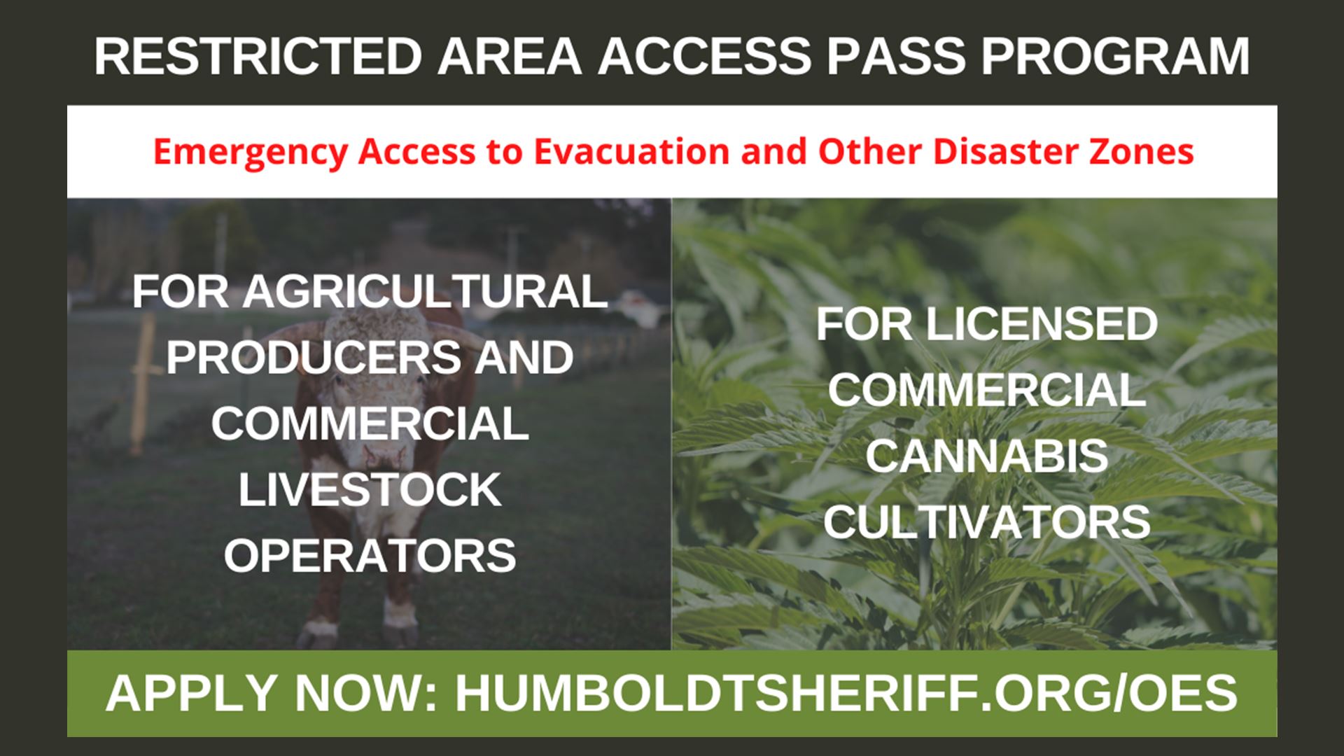 AG PASS WEB
