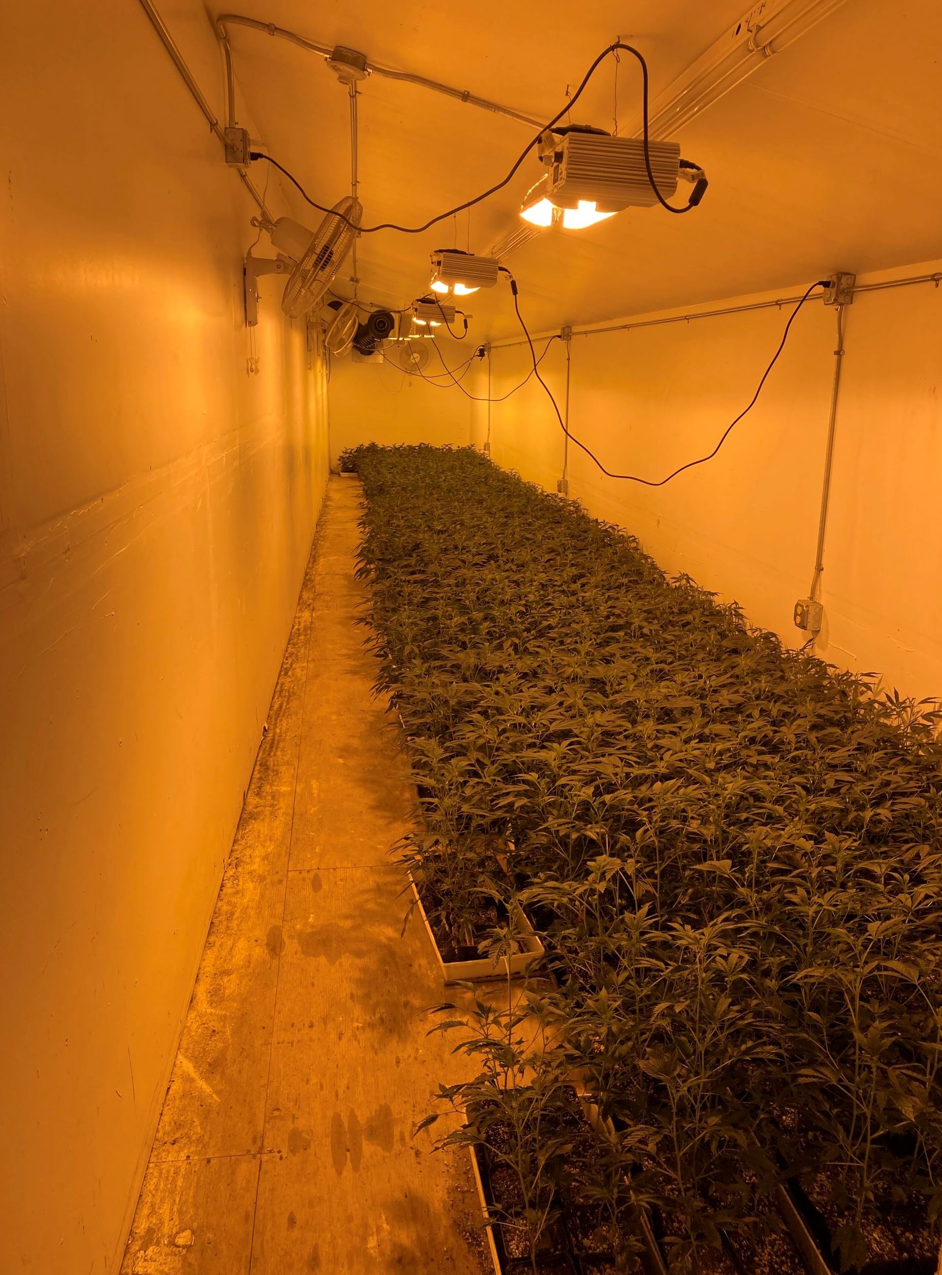 Illegal indoor cannabis cultivation