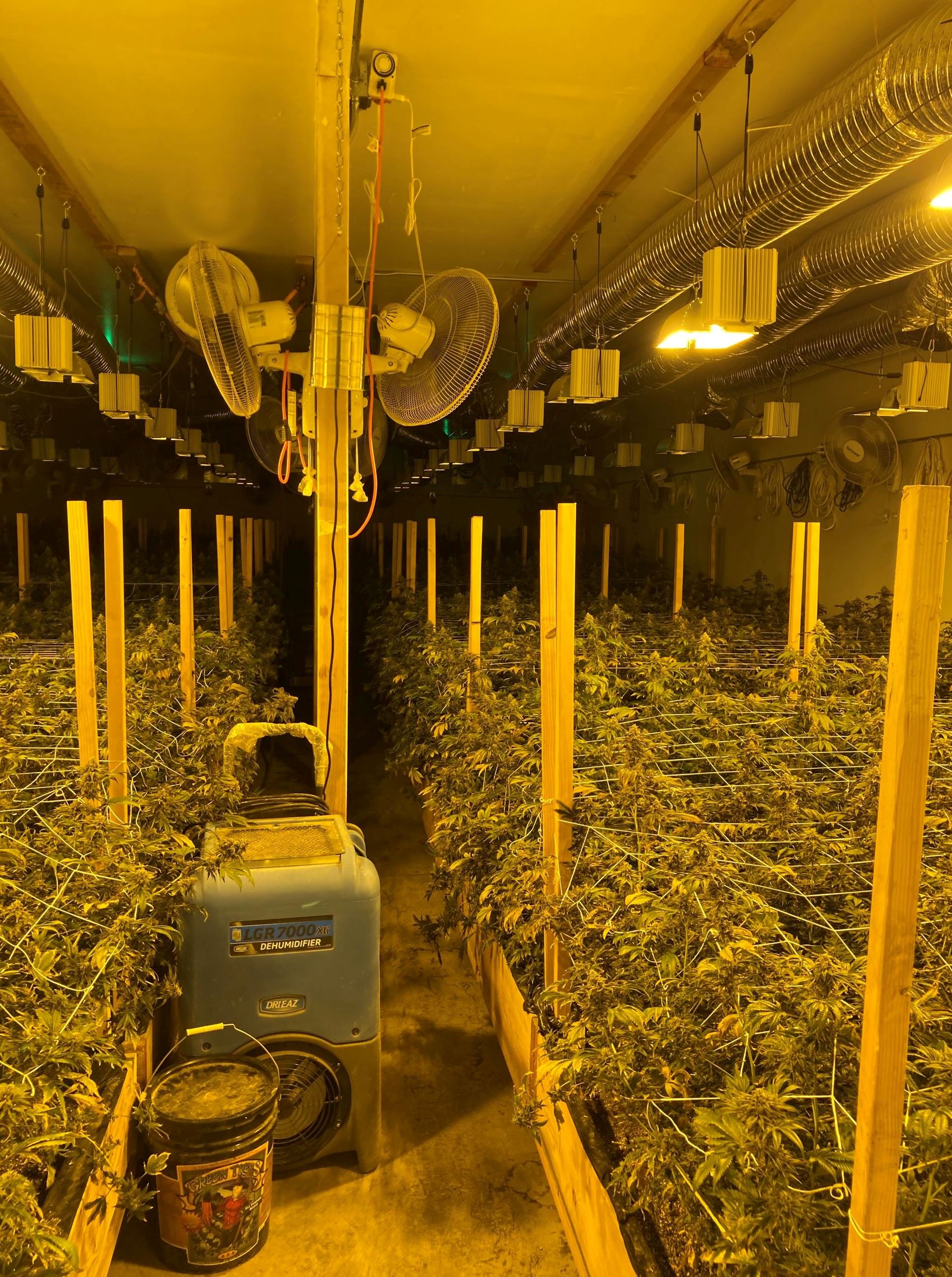 Illegal indoor cannabis cultivation