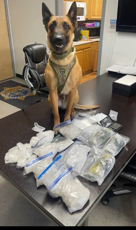 Drugs seized and K9 Cain