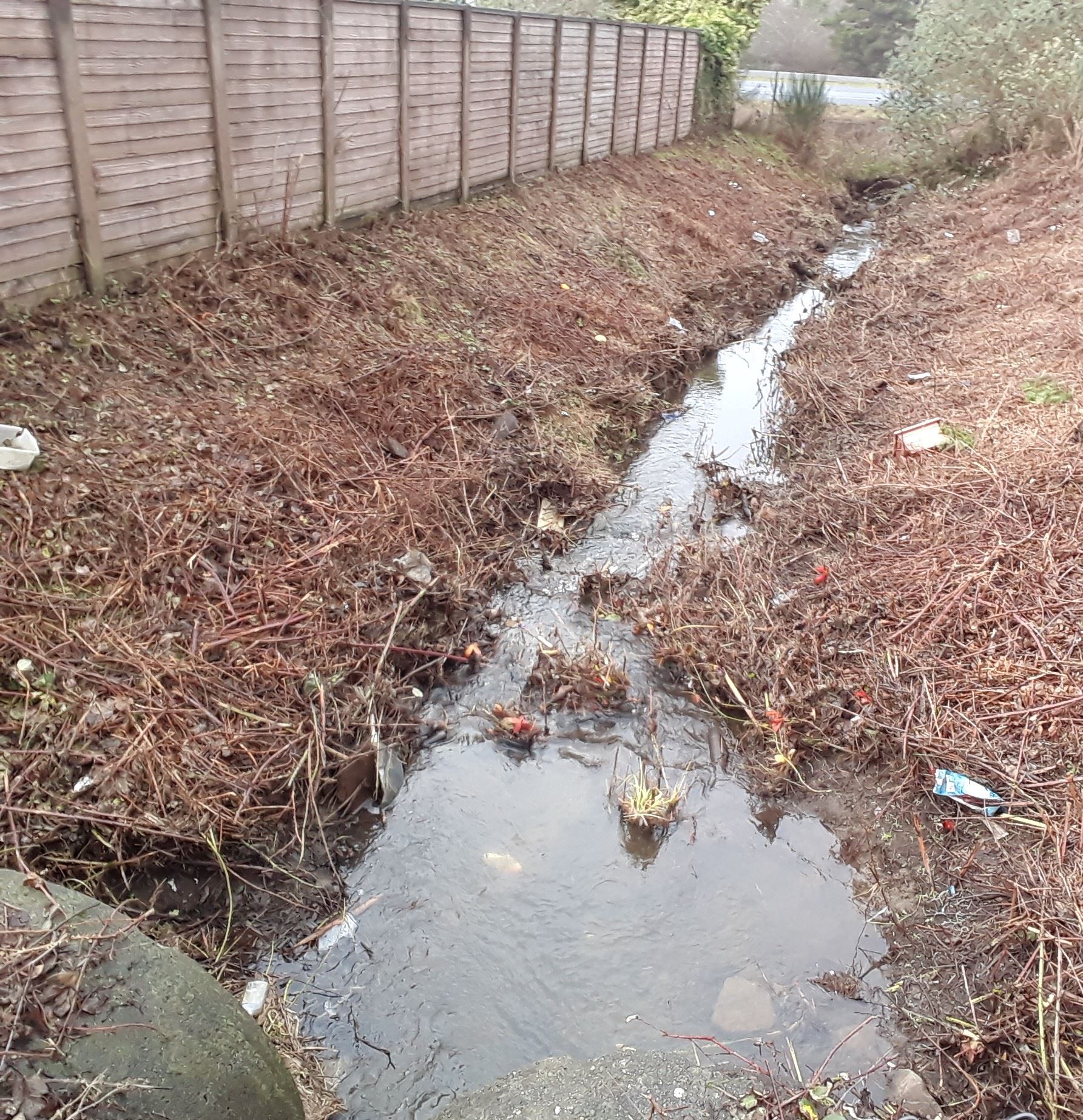 Litter in a drainage ditch.
