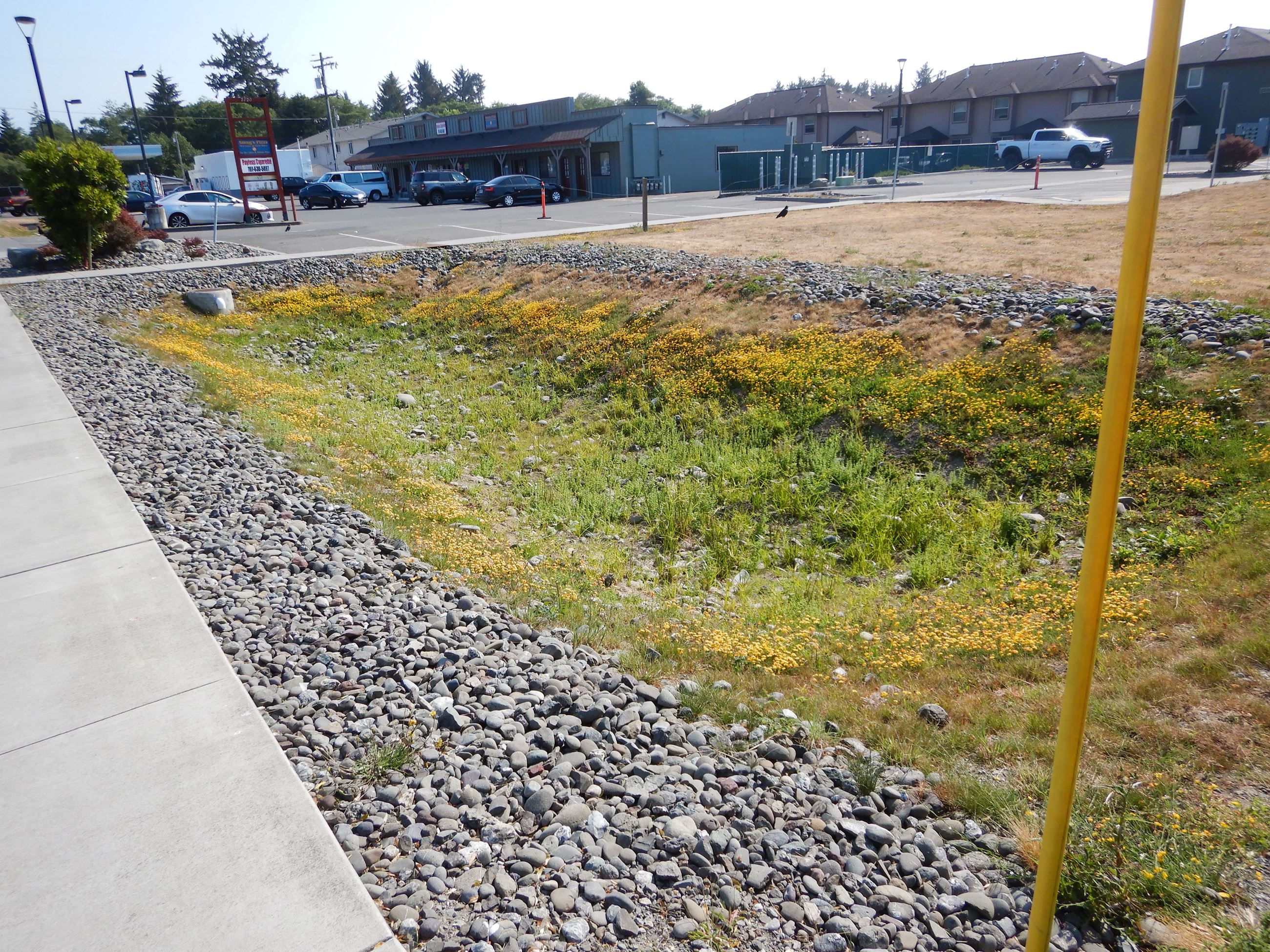 stormwater infiltration basin