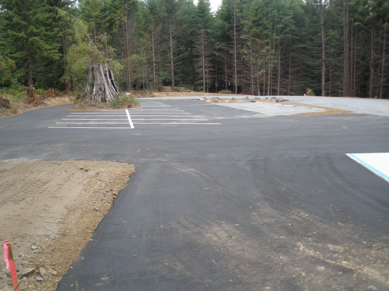 Photo of parking lot off Walnut Drive and Northridge. A cut Redwood tree stump is in the middle of t