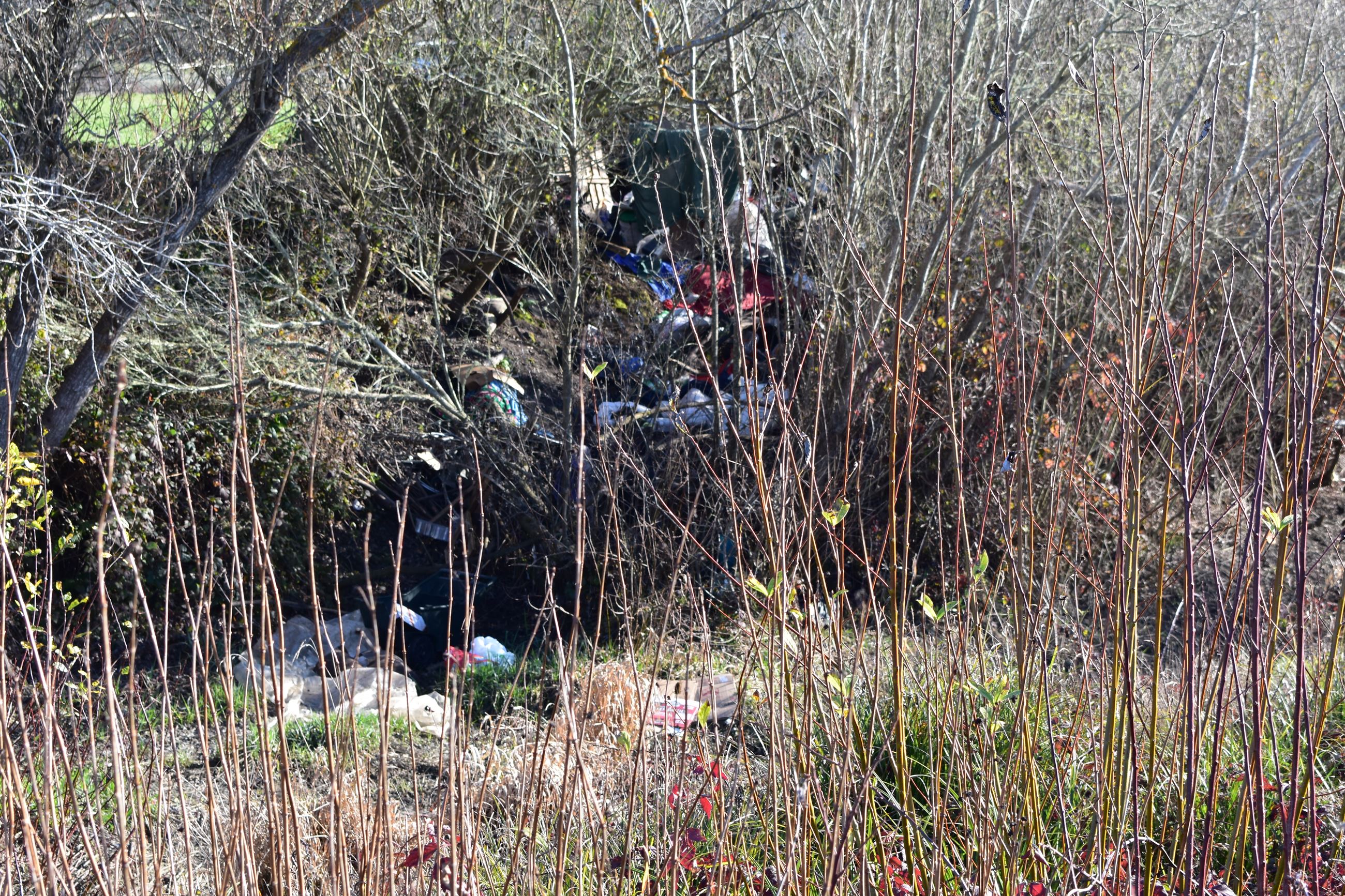 Wymore Road  01-30-2019 pic  (14)