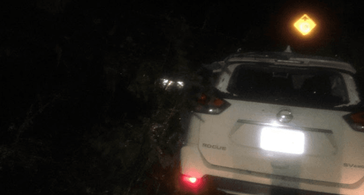 Vehicle vs Tree 