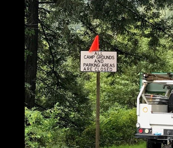 Bull Creek side of Mattole Road