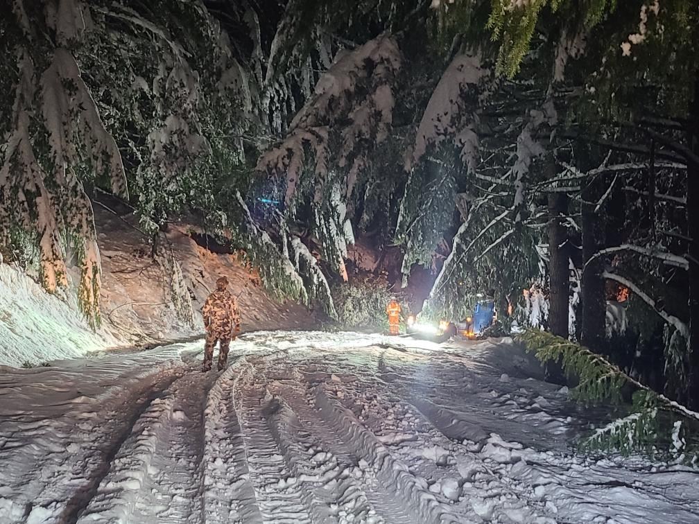 Search and rescue teams working in snow during a winter storm