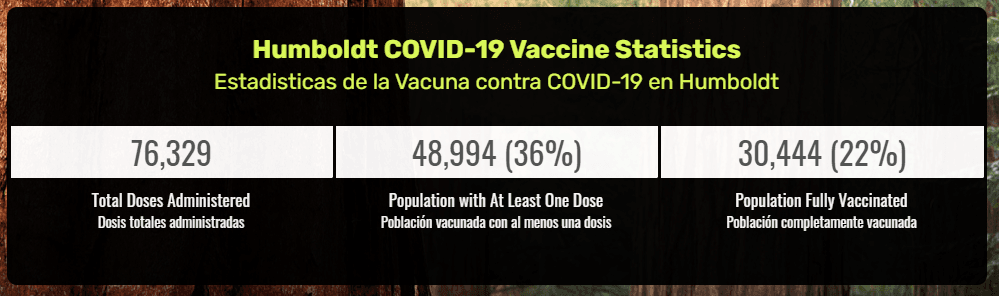 Screenshot of the Vaccine Statistics Counter