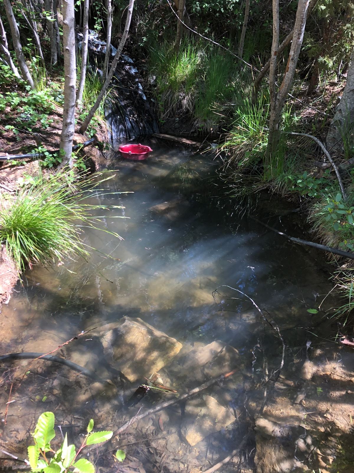 Water diversion observed on a rural property