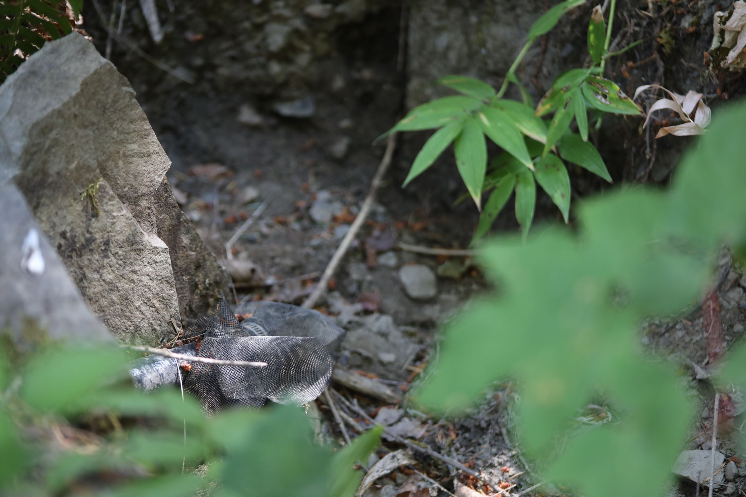 Point of diversion at a dried up creek