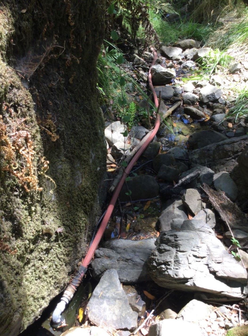 Dammed up salmon creek with bump in creek diverting 90% of waterflow.