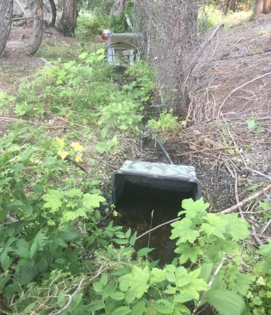 Water being diverted to cannabis grow