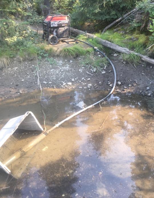 Water being diverted to cannabis grow