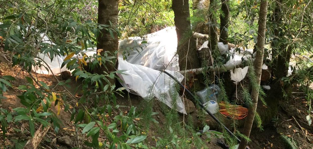 Trash and impoundment placed in tributary of little Larrabee Creek