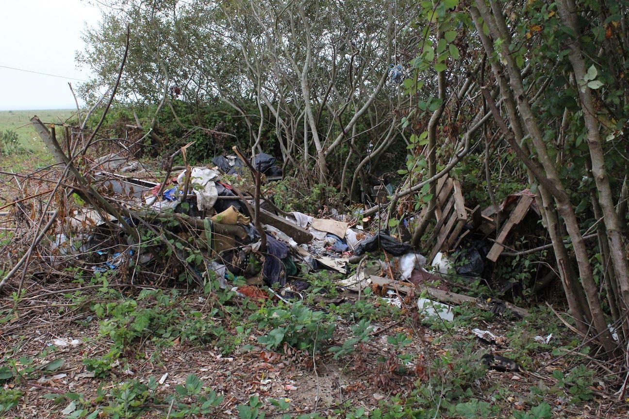 Samoa & V Street Clean-Up