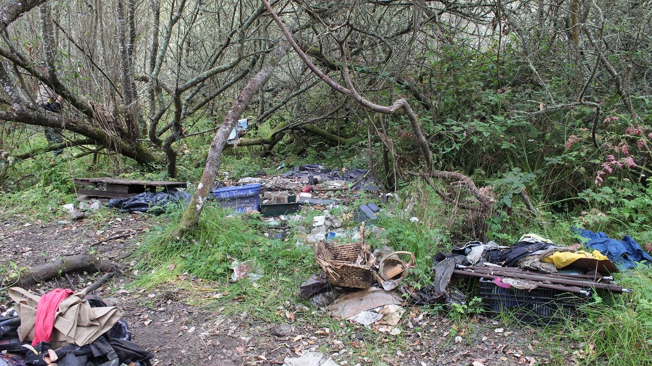 Samoa & V Street Clean-Up