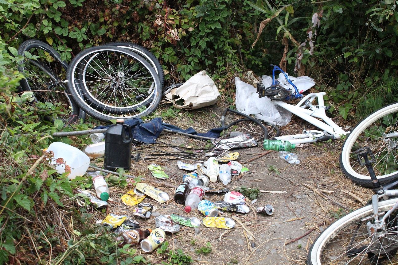 Samoa & V Street Clean-Up