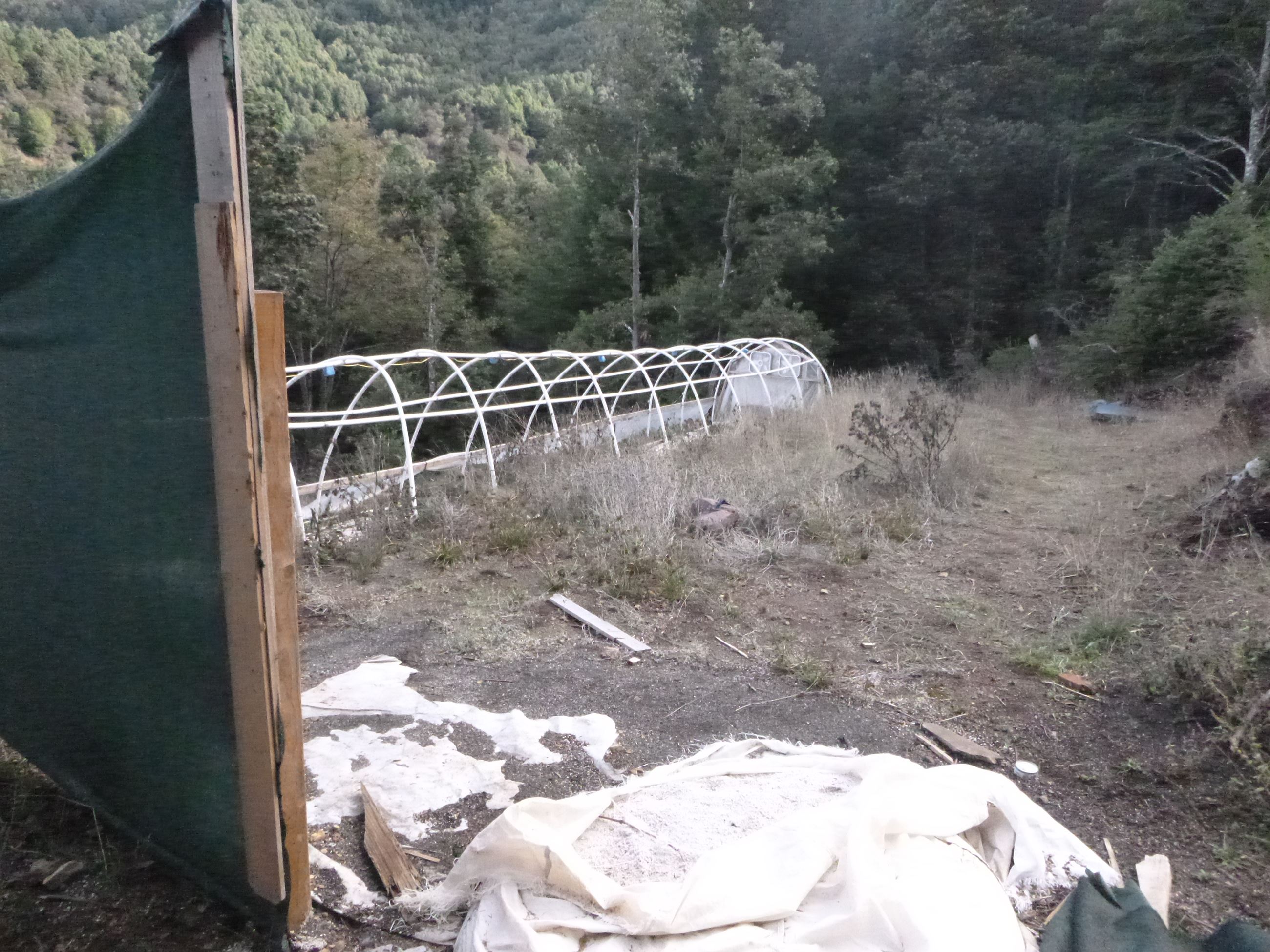 Marijuana Eradication - Case 201605245