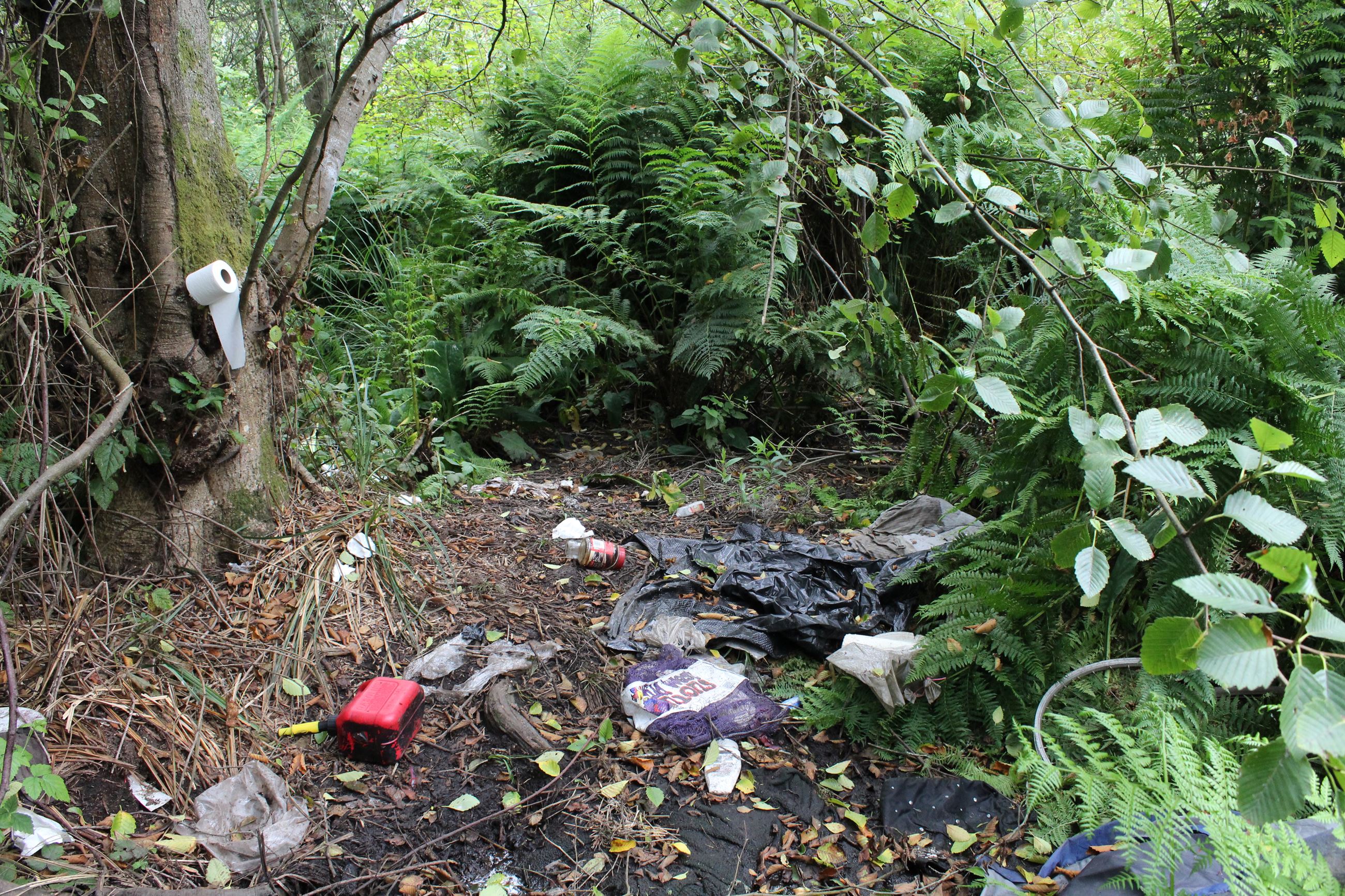 Central Avenue Camp #2