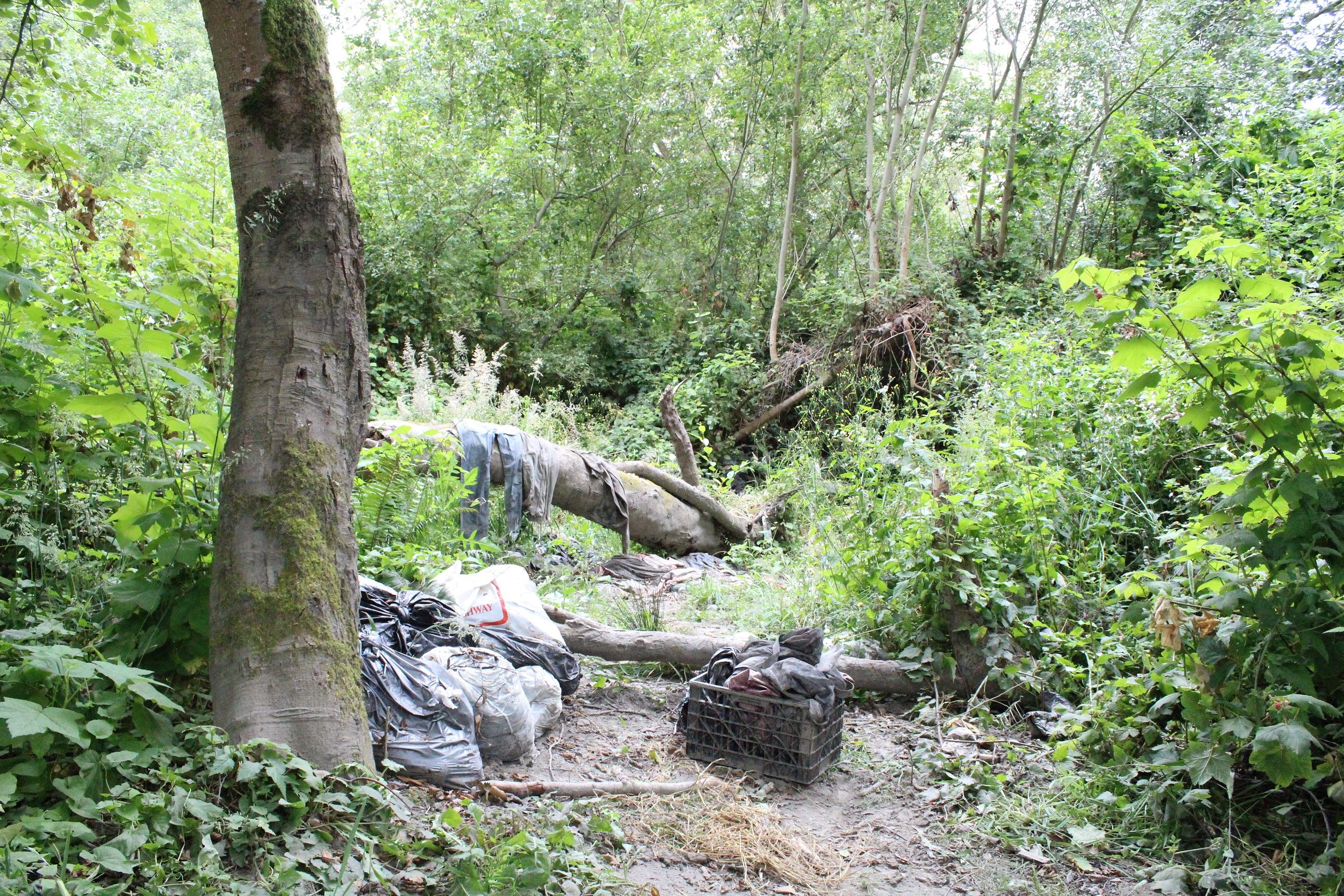 Mad River Campsite #2