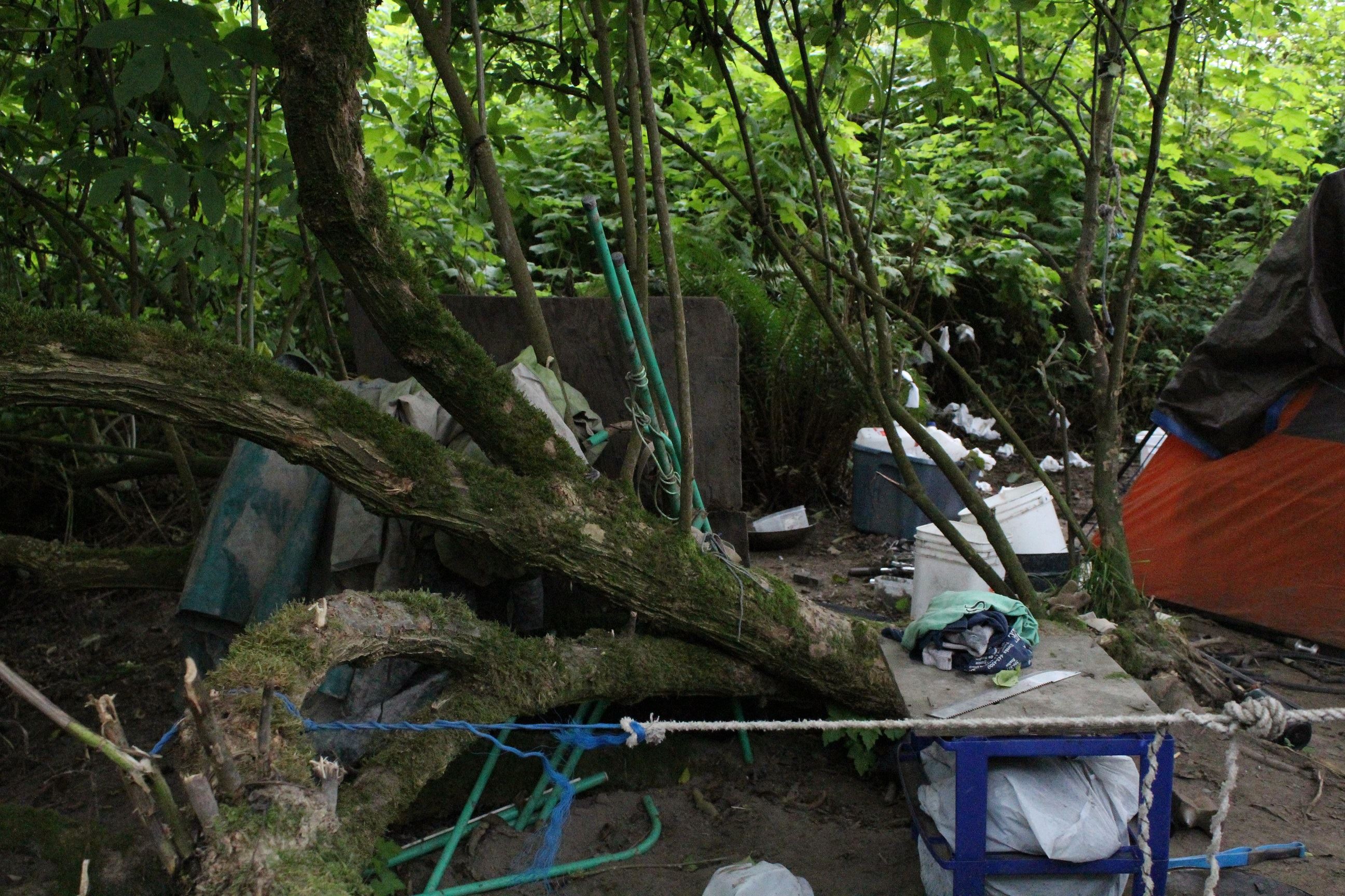 Mad River Campsite #2