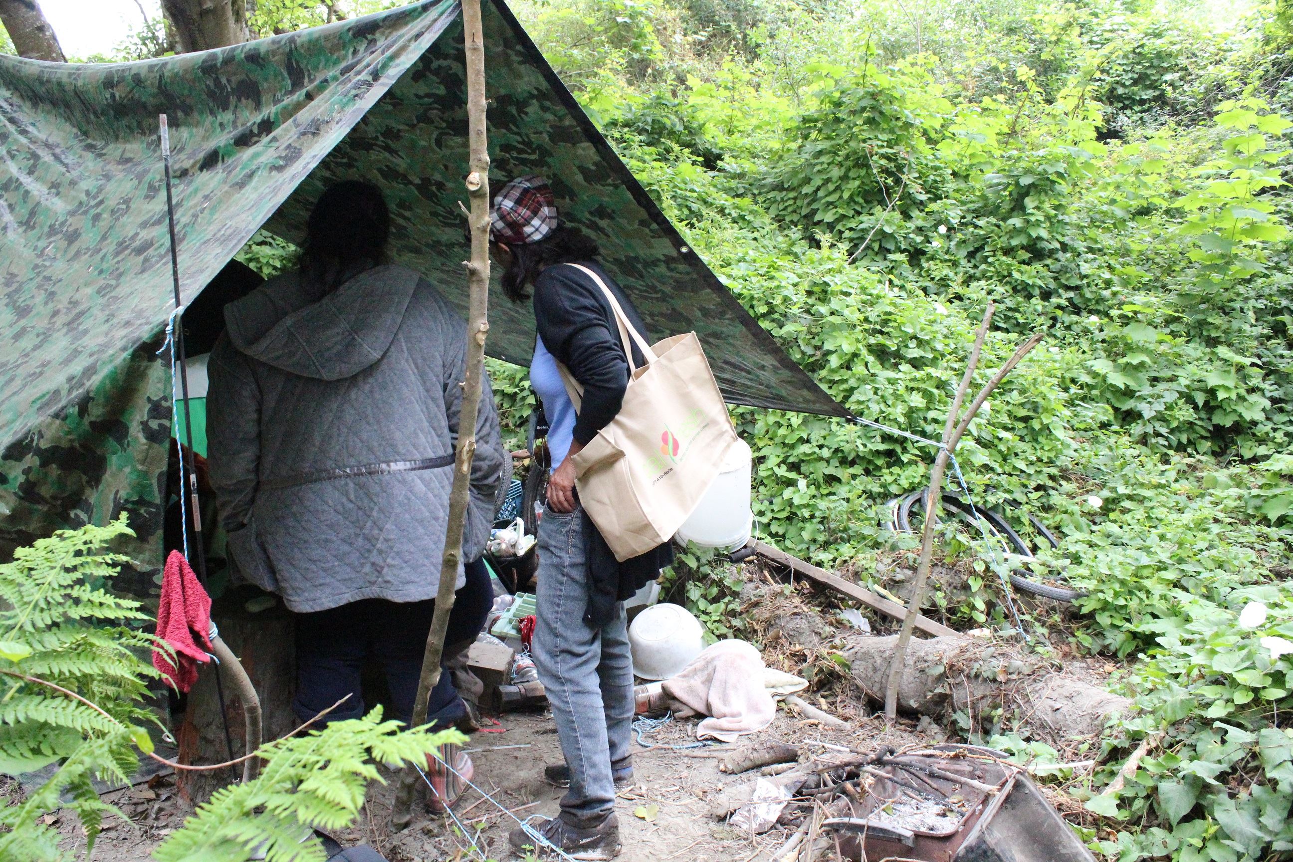 Mad River Campsite #3